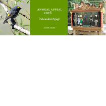 Thumbnail of Annual Appeal 2016 project